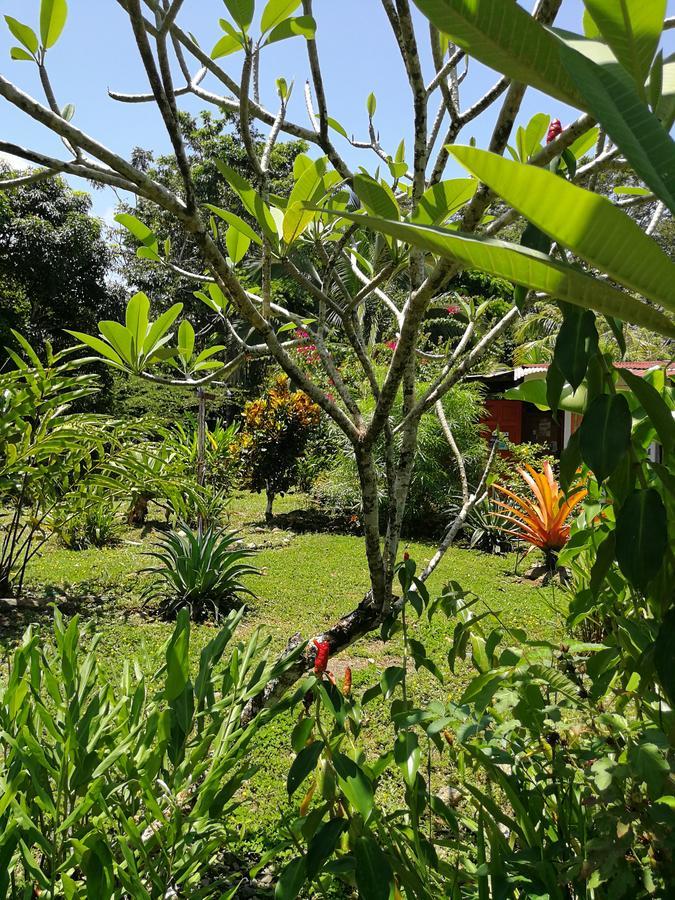 Secret Garden Hotel Cahuita Exterior photo